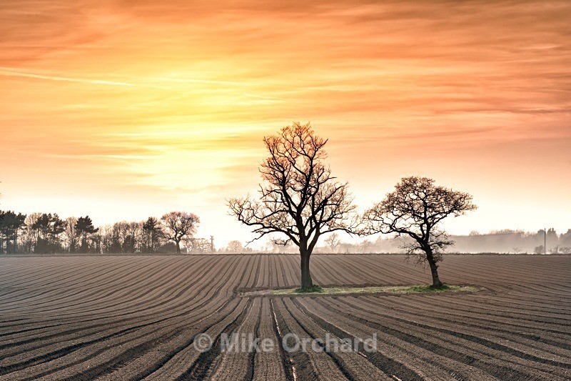 Suffolk Sunset - Landscapes
