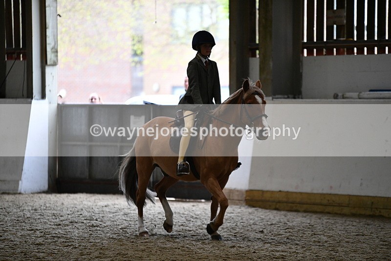 WJ5_6810 - Class 10 Childs Pony