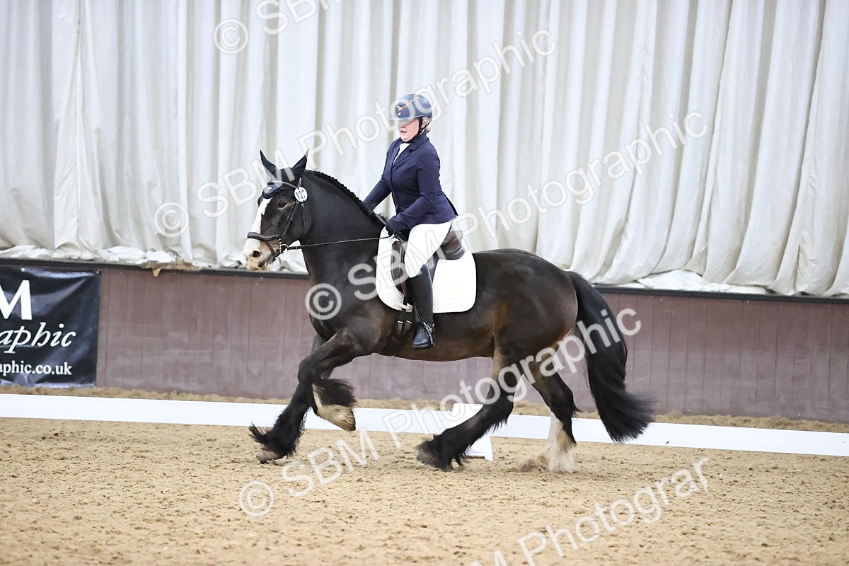 SBM_004296 - Intermediate