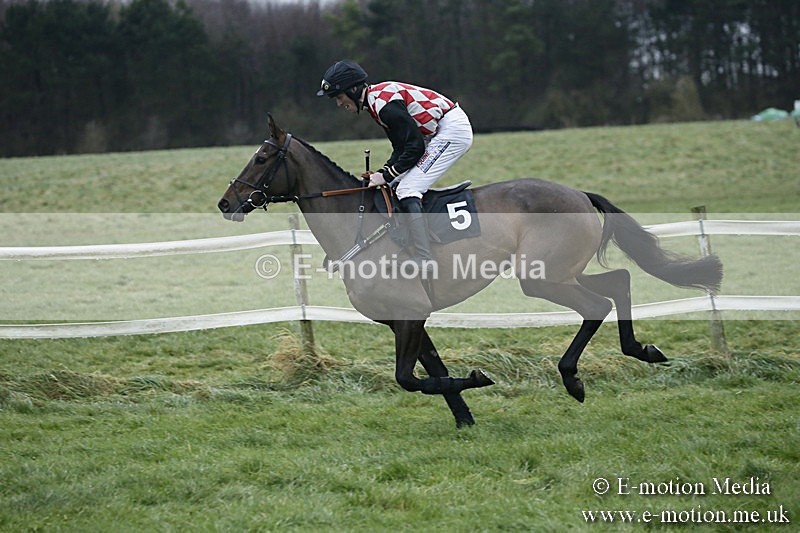 PtP 031217 836 - Hursley Hambledon Point-to-Point Larkhill 03/12/17