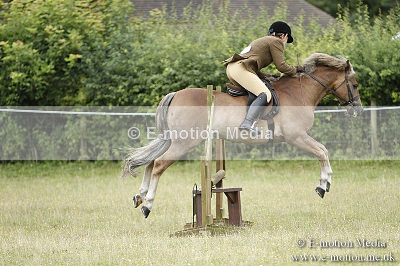 BVR160717-136 - Ring 3 BVRC Show 16/07/17