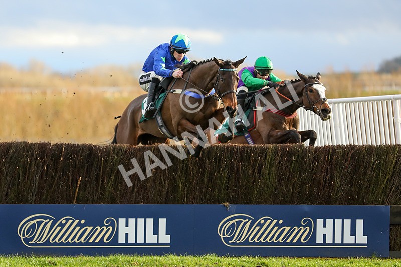 020224-Race 5-Shighness-6912 - Race 5