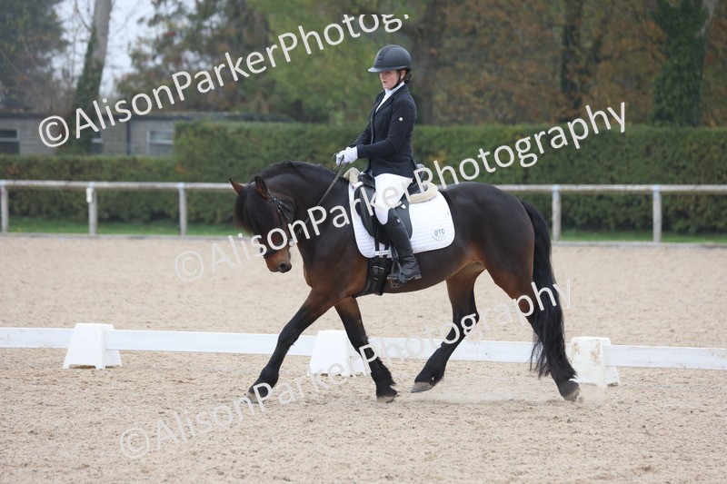 20251012-0519 - Class 4 - Novice 6