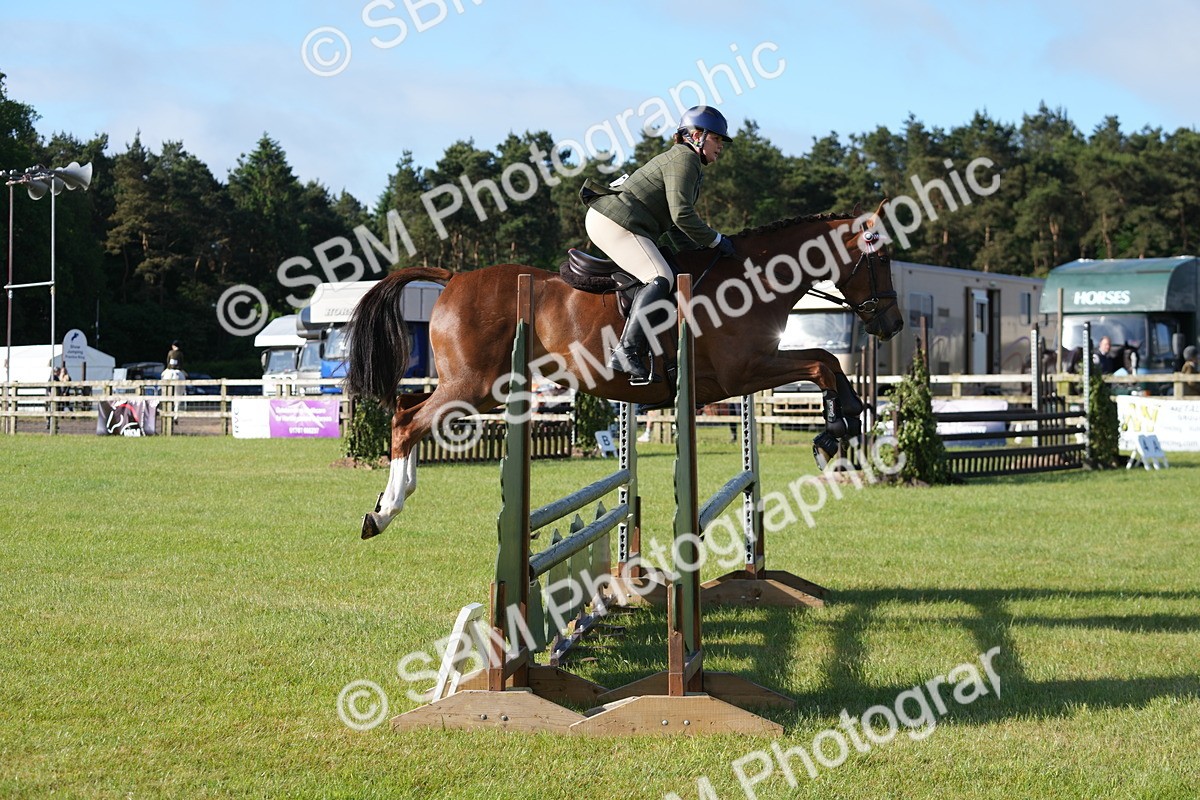 SBM_10515 - Class 97-98 - LIHS BSHA Rising Star Working Show Horse Hunter