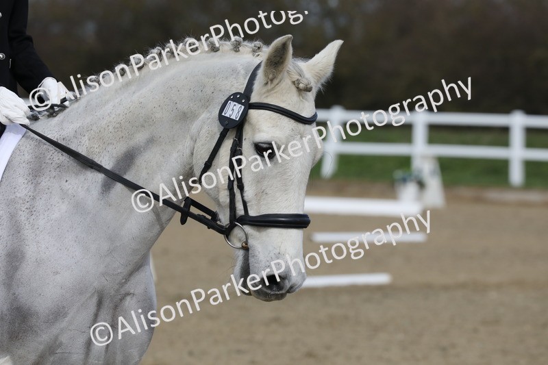 20260314-1993 - CT2 - Prelim 1