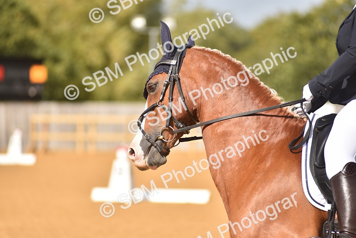 SBM_07821 - D15 - Small Tour Championship Novice 1