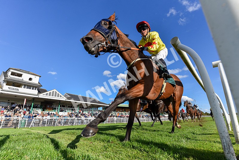 300926-Race 5-Vince Le Prince-7826 - Race 5 4.15pm Bet At racingtv.com Handicap (Div II)