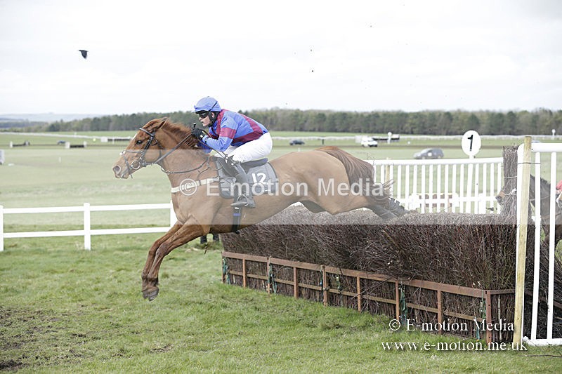PtP 150320 0671 - New Forest Point-to-Point Larkhill 15/03/20