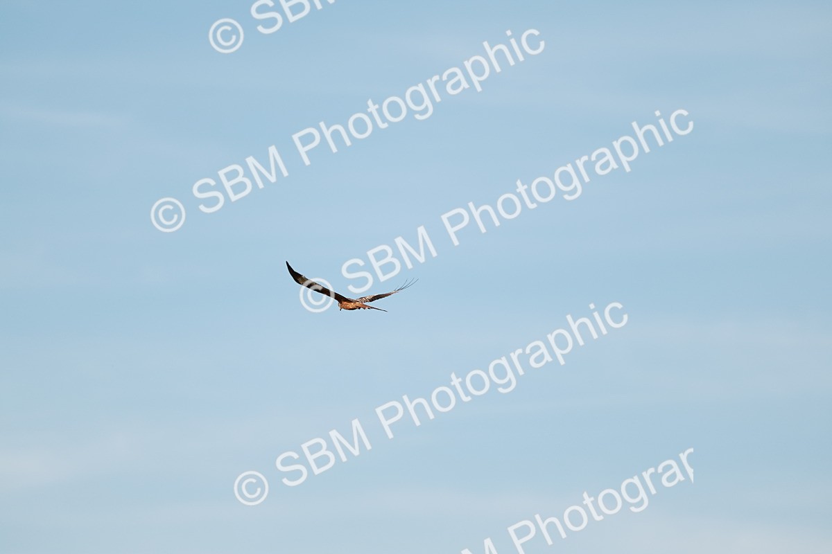 1I0A9478 - Class 7-8  - Elementary 1-PYO