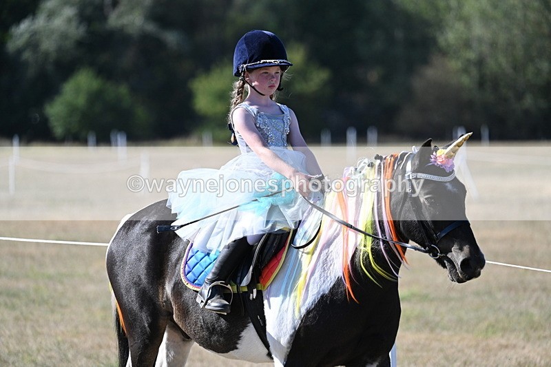 WJ7_2516 - Class 45 Fancy Dress (My Fav)