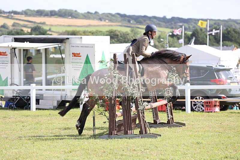 JPP_2665 - Class 20: Working Hunter 70cm