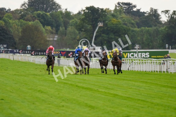 230923-Race 3-Politico-5643 - Race 3 3.10pm Happy 60th Birthday Angela Clark Nursery Handicap