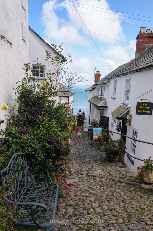 Clovelly - Travel, city/land scapes