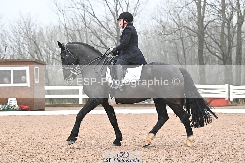 250215-103133-03041 - 244-Suzanne.Clark-Ballinamurra.Billy