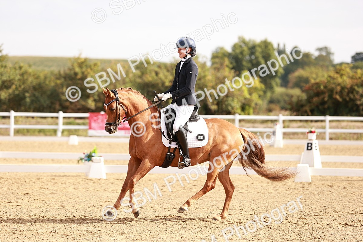 SBM_016913 - Class 10 - Medium 6