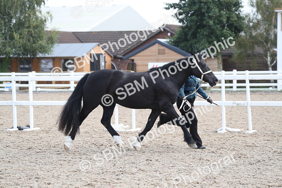 SBM_23294 - Class 606 - 2025 Area - IH Pre Vet