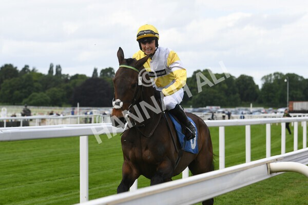 yr11062022r2-9 - Race 2 2.00pm Queen Mother's Cup