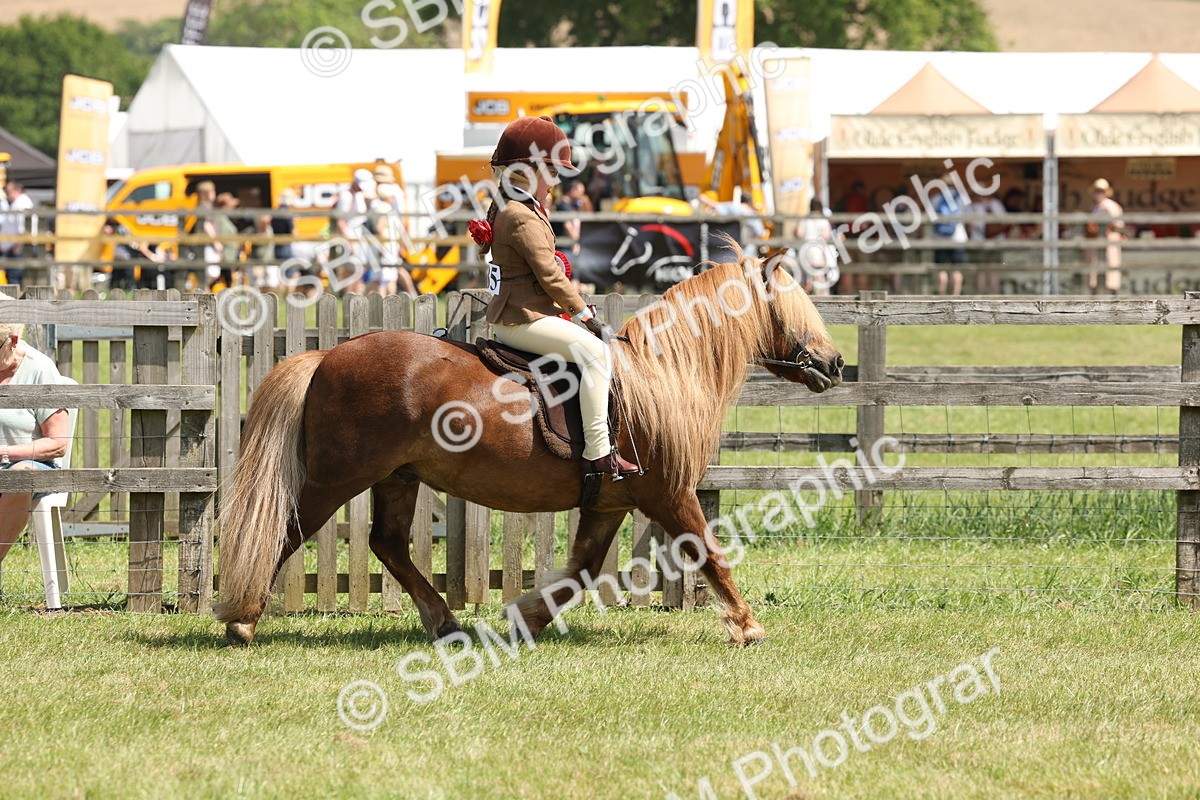 SBM_05382 - Class 24-25 - Mountain & Moorland In Hand Lead Rein and First Ridden