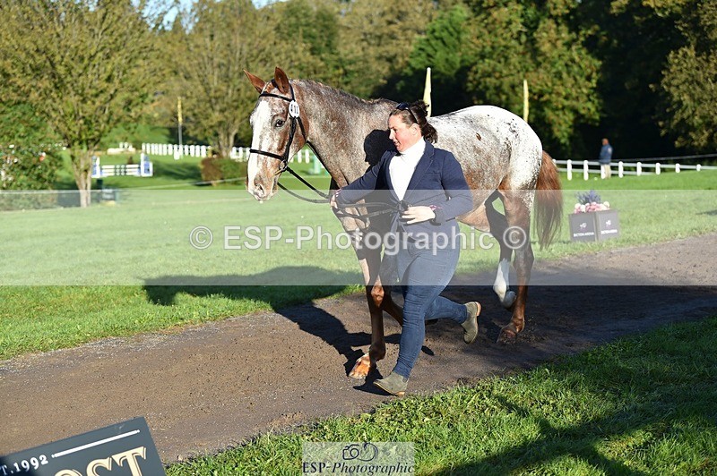231022-093628-21912 - 412-KELTEK.LUDO-Tracey.Neville-TrotUp+SJ