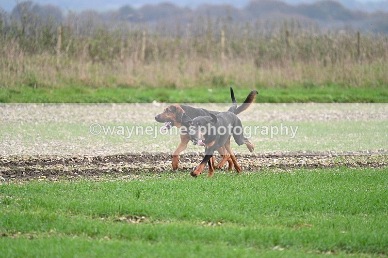 WJ7_0162 - Camera 1 & Last fence