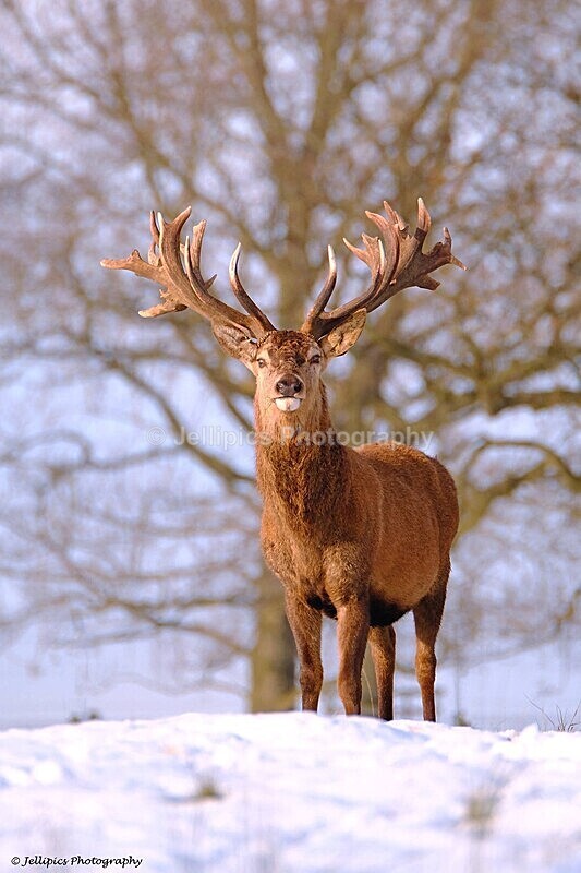  - Wildlife and Nature