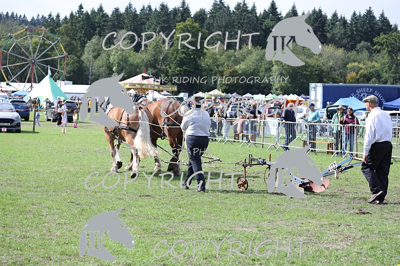 APP_3593 - Class 7 Turnout for a single or pair