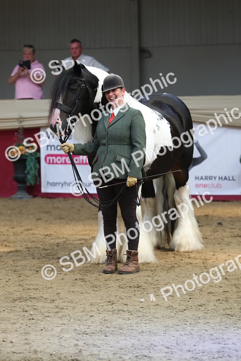 SBM_06553 - Regional IH Champ
