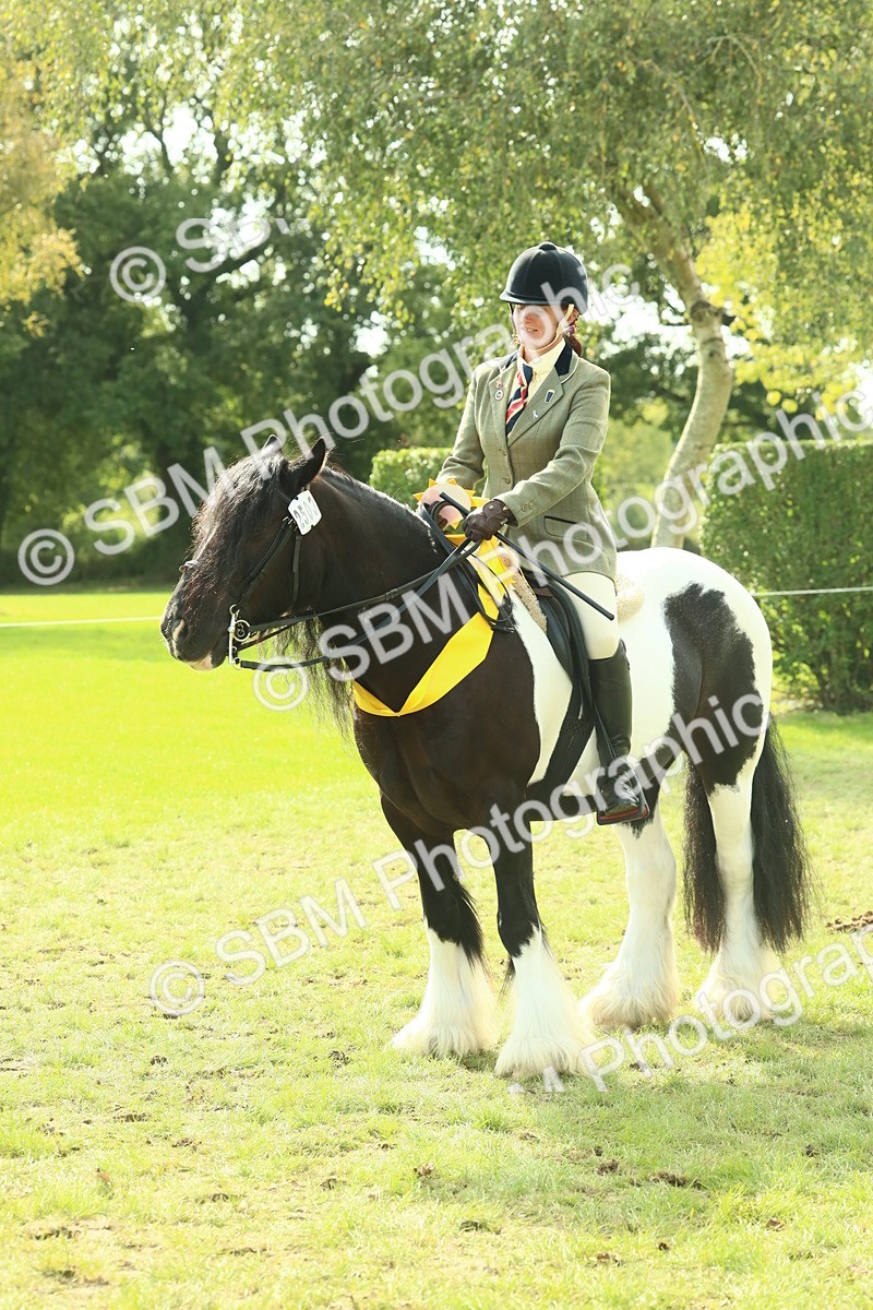 SBM_68984 - S58 - Mini Show Cob Ridden