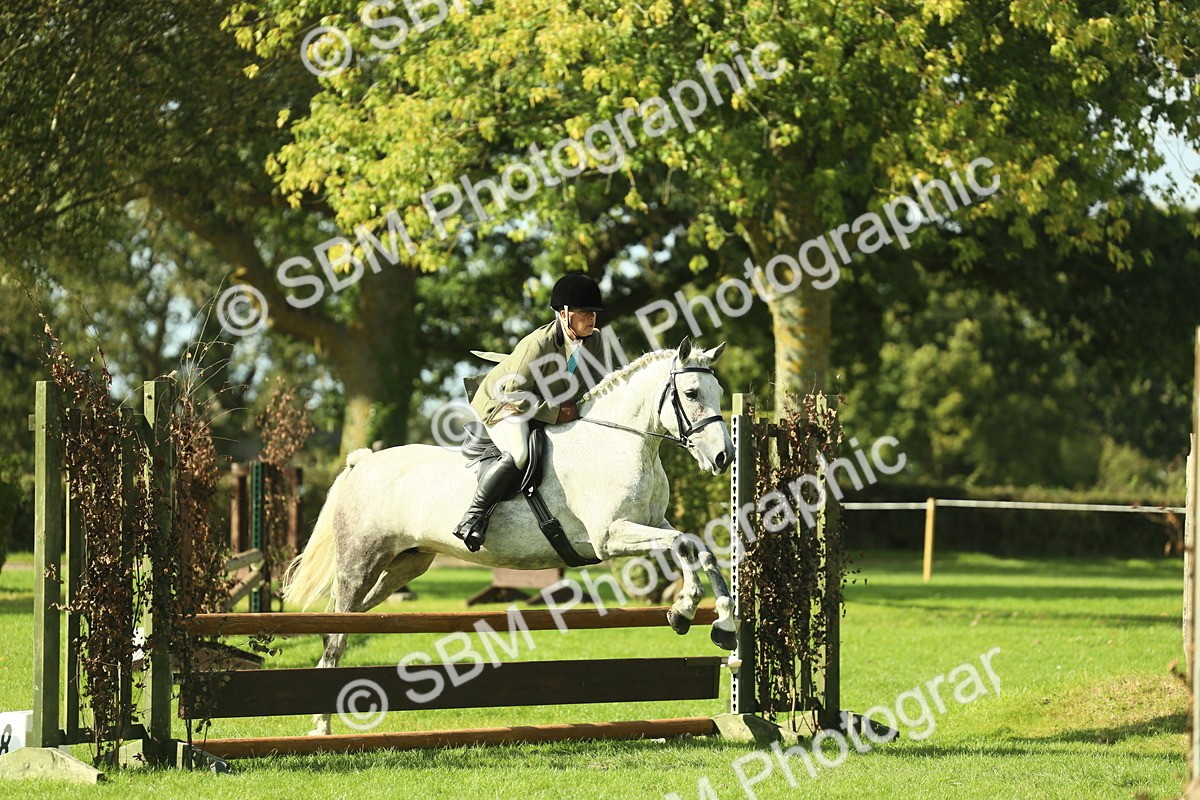 SBM_48078 - S32 - Novice & Newcomers Working Hunter