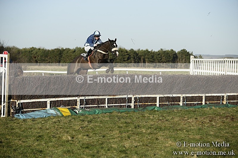 PtP 070118 -599 - Larkhill Racing Club Point to Point Larkhill 07/01/2018
