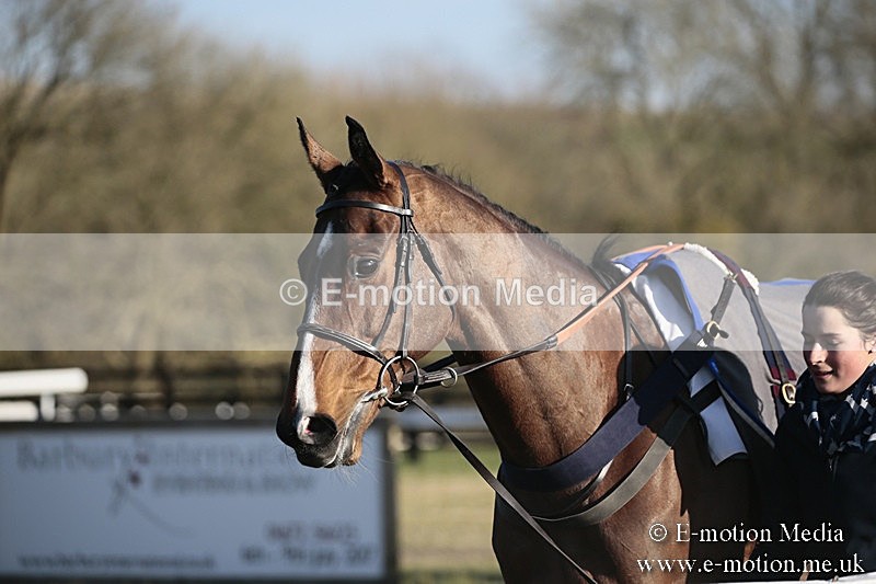 PtP 240218 631 - Vine & Craven Hunt Point-to-Point Barbury racecourse 24/02/18