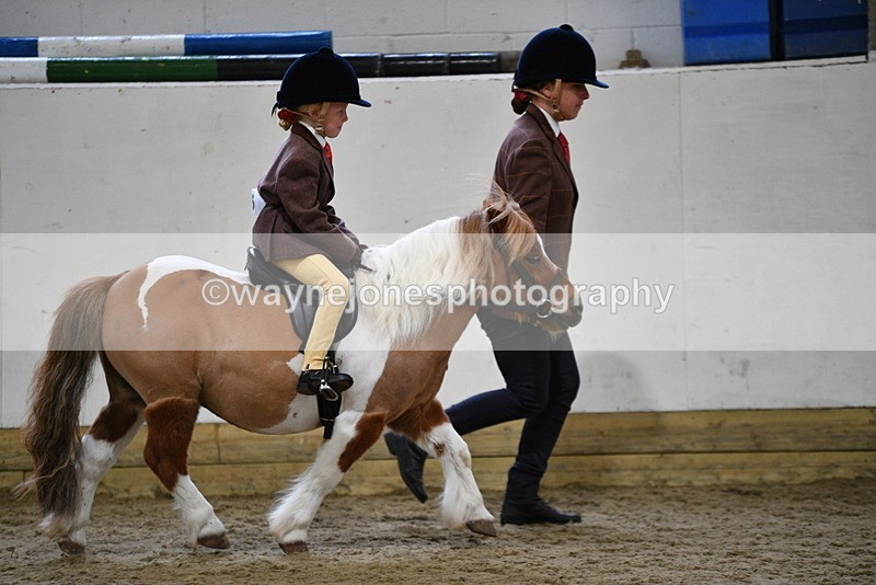WJ5_6538 - Class 10 Childs Pony