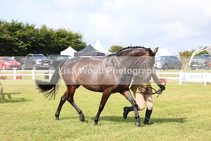 3E7A9157 - Class 3: Rising Star S/L Hunter