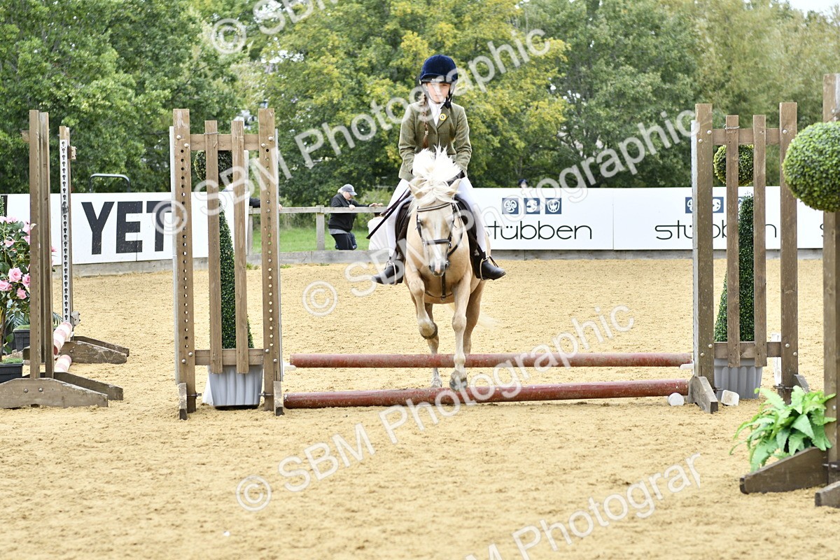 SBM_65395 - J2a mini Tour Junior Pony 30cm Championship