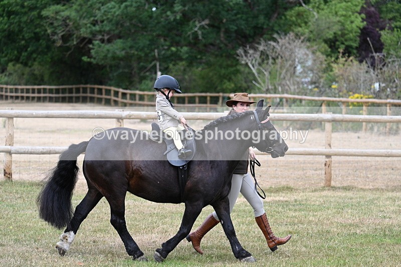 WJ7_9676 - Class 1 Lead Rein Pony