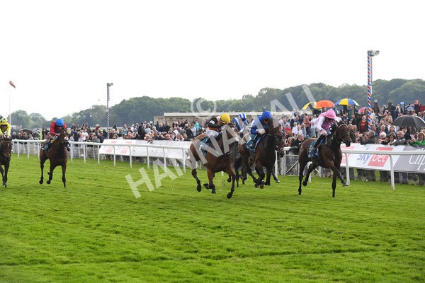 190523-Race 2-Sounds Of Heaven-0337 - Race 2 2.25pm Oaks Farm Stables Fillies' Stakes