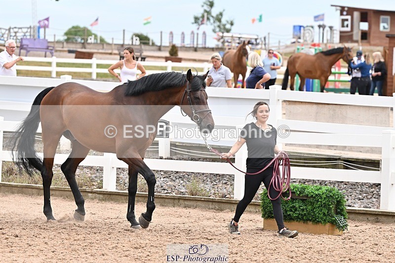 250716-144607-01381 - Trot Up 2.30 to 3.30