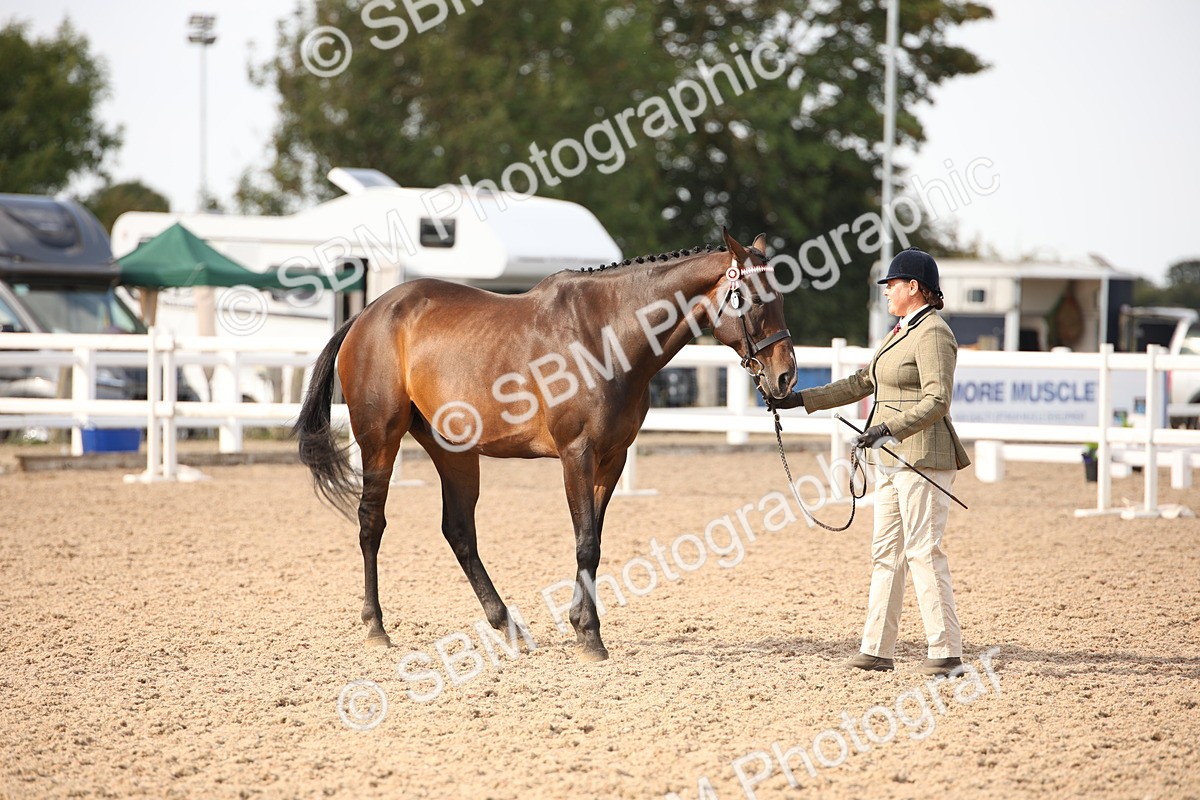 SBM_08209 - Class 27 - IH Competition Horse-Pony