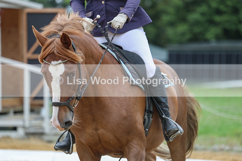 3E7A5107 - Class 2: Intro 4 2024 section B