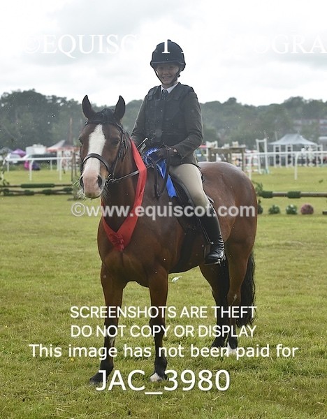 JAC_3980 - 55cm WORKING HUNTER