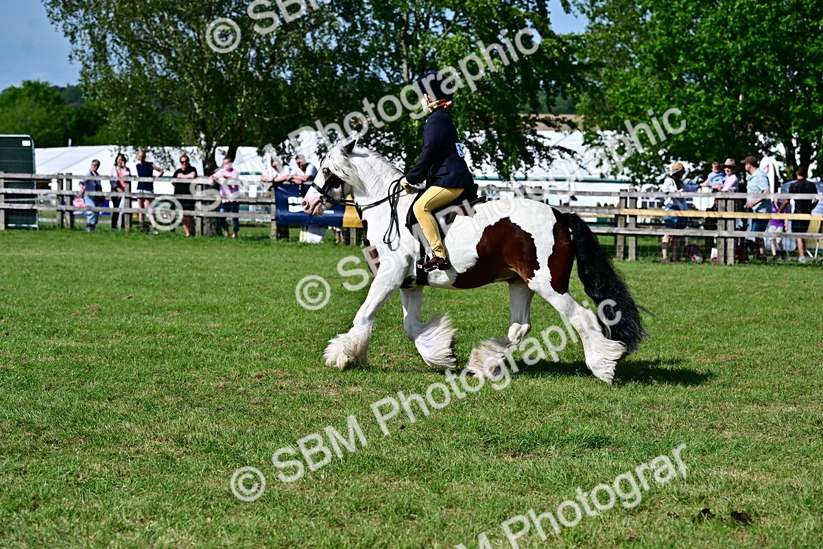 SBM_09403 - Class 63-65 - Traditional Gypsy Cobs In Hand & Ridden