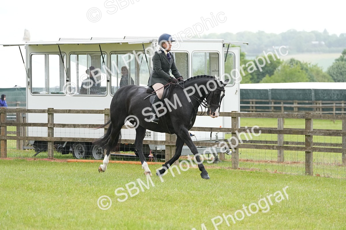 SBM_12651 - Class 97-98 - LIHS BSHA Rising Star Working Show Horse Hunter