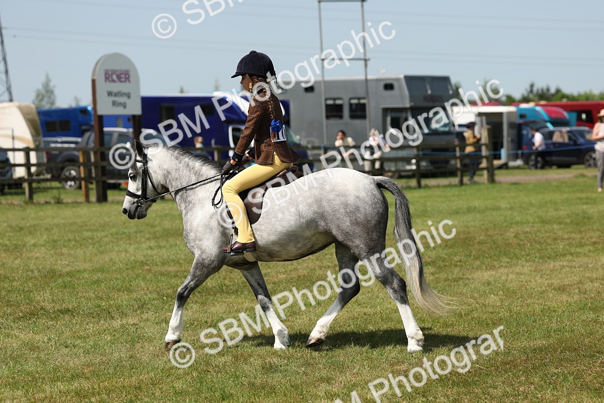 SBM_05334 - Class 24-25 - Mountain & Moorland In Hand Lead Rein and First Ridden