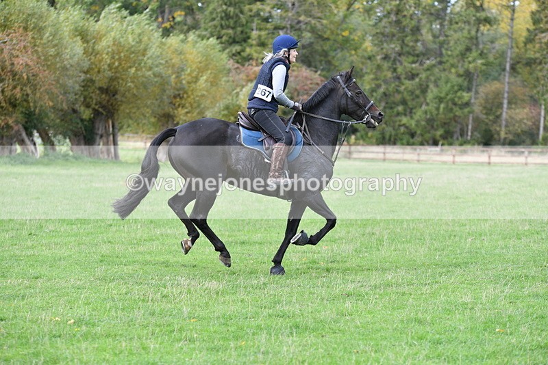 WJ5_0191 - Time 13:25 to 13:58