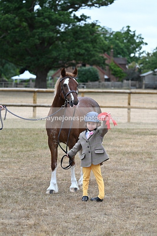 WJ7_8576 - Class 4 Prettiest Mare up to 14.2hh