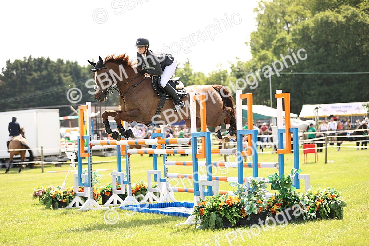 SBM_03192 - Class 201 - British Horse Feedds Speedi Beet HOYS Grade C