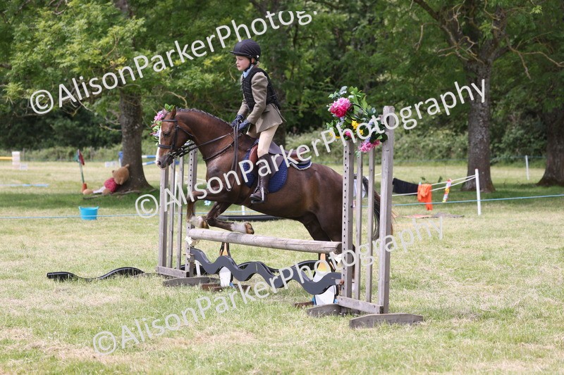 20260614-2854 - Class 22 - Open Working Hunter