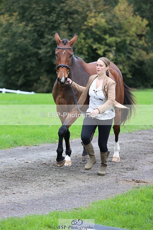 251026A-111145-25291 - F-462-Hayley.Allen