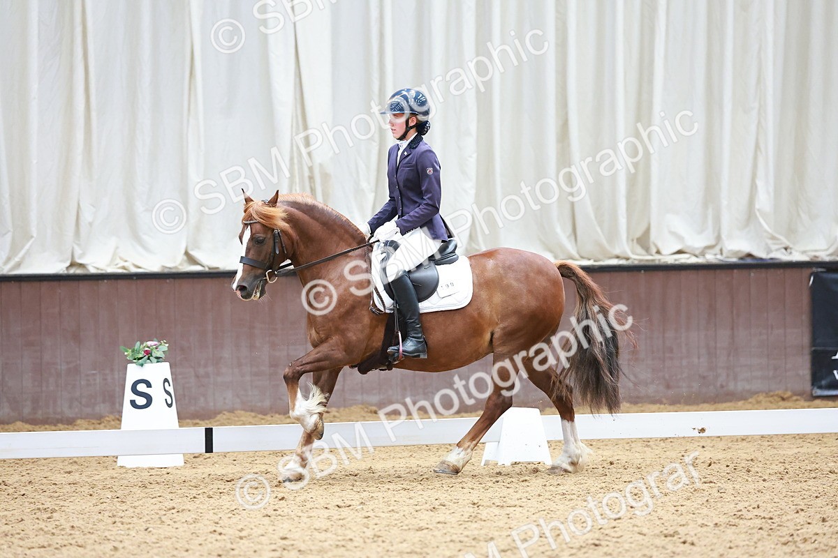 SBM_010900 - Prelim 5 - 11.38-12.48