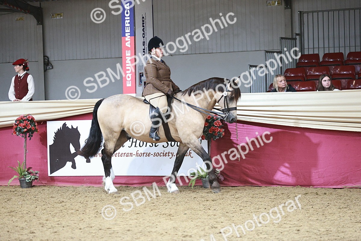 SBM_08794 - Class 12R - Regional Ridden Pre-Vet